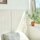 오고가고민박 이미지