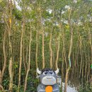 야크마을 | 자연이 품은 완벽한 힐링 스테이, 제주 야크마을 '비자트' 솔직 투숙 후기