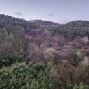 화순당구장 | 화순금호리조트 조식·아쿠아나온천 후기｜4인가족 가성비 여행