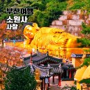 상이 | 소원사 부산 기장 정관 사찰 가볼만한곳 거대 와불상이 있는 절