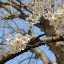 부천종합운동장 이미지