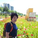 일장성