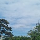 블루오션리조트홀리데이파크 이미지