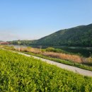 단양생태체육공원 이미지