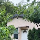 피아골 숲숨집 이미지