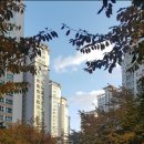 반포조은공인중개사사무소 이미지