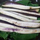 즉석반찬 티스토리