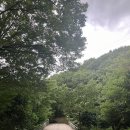 거제자연휴양림 | 경남 거제 숙박 거제자연휴양림에서 누린 산속 클린 힐링후기