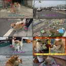 뭉치농장 이미지