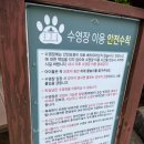 철없는펜션 | 대구근교 밀양 애견펜션 쿠쿠숲 4번방 4번째 방문 후기