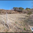 수당 태양광발전소 이미지