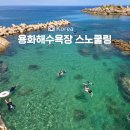 용화 | 삼척 스노쿨링 장소 추천 용화해수욕장 방파제 후기