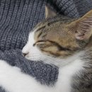 레츠 스테이 이미지