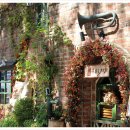 카라인1978 이미지