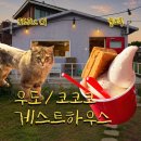 코코코 | [친구랑 제주도 ver.1] 우도🥜🍦땅콩아이스크림은 여기로 가면됨 : 우도동굴보트 / 코코코게스트하우스