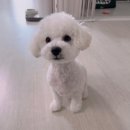 나나그룸 이미지