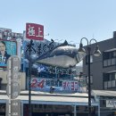 거진시장초밥