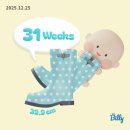 11650-5-57-31 | 후기(31주~35주)임신기록, 끝! 붉은 말띠맘🐴❤️인줄 알았으나 뱀띠맘이 되어버린..🐍💚