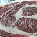 오늘잡은소 이미지