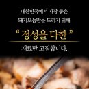 고고돼지 이미지