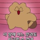 최성광참숯불닭갈비 - 56408 | 최성광참숯불닭갈비
