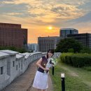 [26년 6월 4주차] 동료들과 러닝 / 완벽한 남대문 꽃시장 코스🌷 / 2026 서울국제도서전 후기