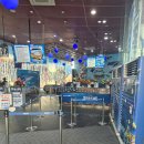 공연예술보호구역 아트벙커 | 해운대 실내 가볼만한곳 부산 씨라이프 아쿠아리움 입장료 할인방법