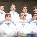 파리나무십자가 소년합창단 이미지