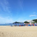 와현해수욕장(중) 이미지