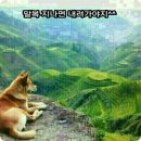도도해