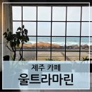 4611 | [제주-울트라마린 제주] 바다 바로 앞 오션뷰 카페 방문 후기