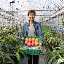 한백베리농원