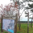 용은산 티스토리