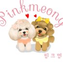 핑크멍 이미지
