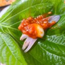 동해바다회 이미지