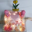 에스씨아이씨 | 돈나오는 돈뽑는 케이크 부모님용돈 현금 이벤트