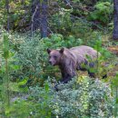페츠업 동물병원 이미지