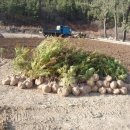 형민농장 이미지