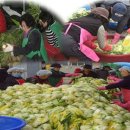 장기경로당 앞 이미지