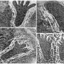 (주)네이쳐사이언스 | [정견망] 사라진 문명-숨겨진 진실: (2장) 먼 옛날의 발자국 – 1