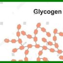 운동J GYM 이미지