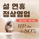 유앤미펫 고양이분양 강아지분양 인천본점 | 인천 간석동 강아지분양 유앤미펫 고양이분양 강아지분양 인천본점 가격 위치