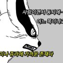 히마와리
