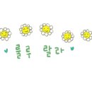 담양 빨래방 이미지