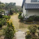 국원유치원 | 파주 초록멍파티룸, 반려견유치원 초롱스쿨 봄소풍 운동장 대관후기