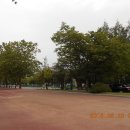 종합운동장 육상보조트랙 이미지