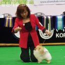 골든캐슬 쇼룸 이미지