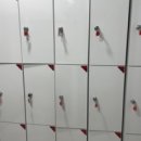 슈가복싱 이미지