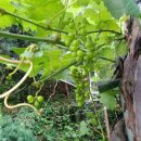 은하수와 여울 이미지