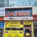더독동물병원 이미지